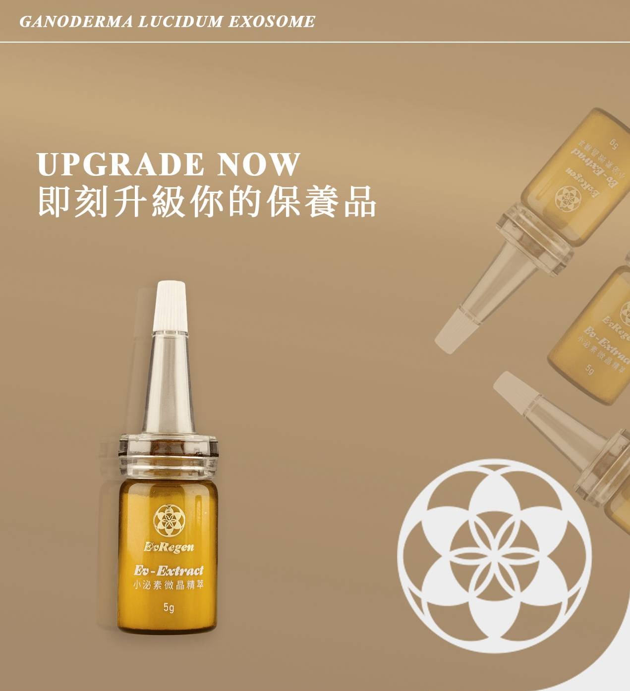 Ev-Extract 小泌素微晶精萃 再贈面膜